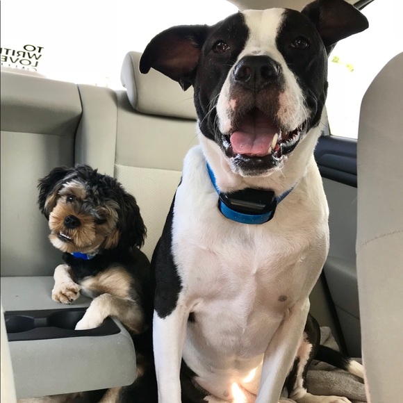 Meet your Posher, Mandi - Picture 1 of 3